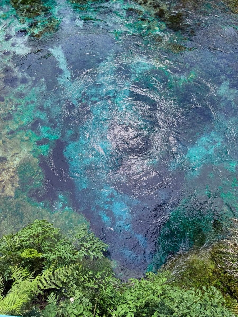 Blue Eye (Syri i Kaltër) · kraakhelder turquoise bronwater