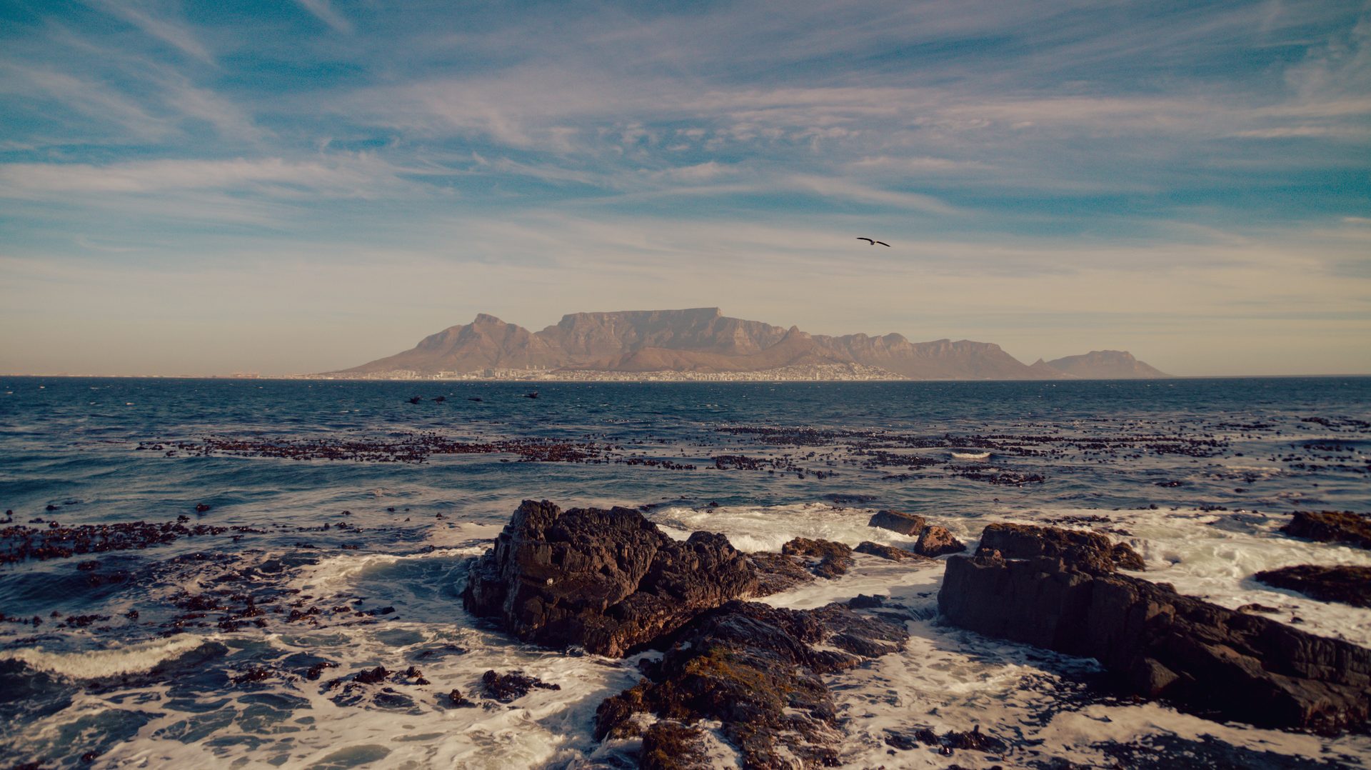 Zuid-Afrika impressie