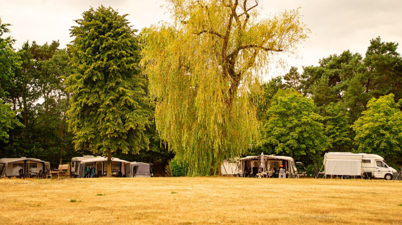 Kampeerveld op Parc de Witte Vennen
