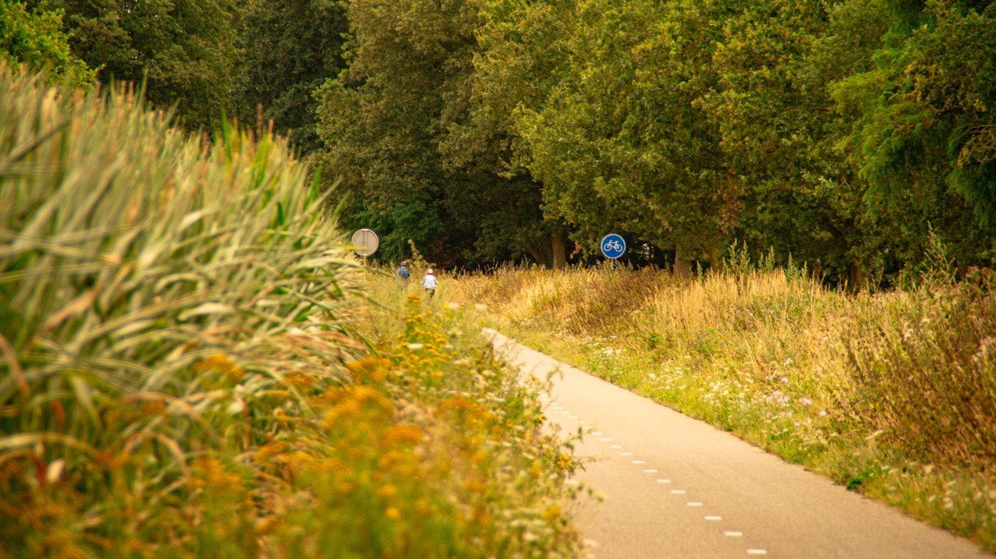 Natuurpad en fietsroute naast Parc de Witte Vennen